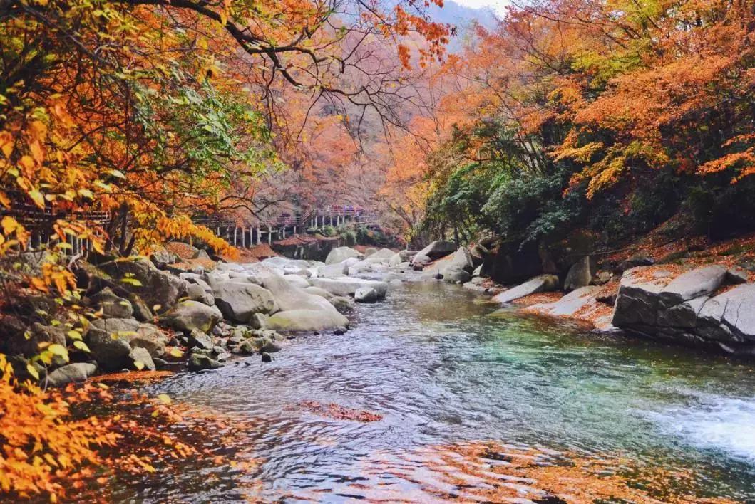 收藏一些自己喜欢的东西,收藏起来你一定用得到