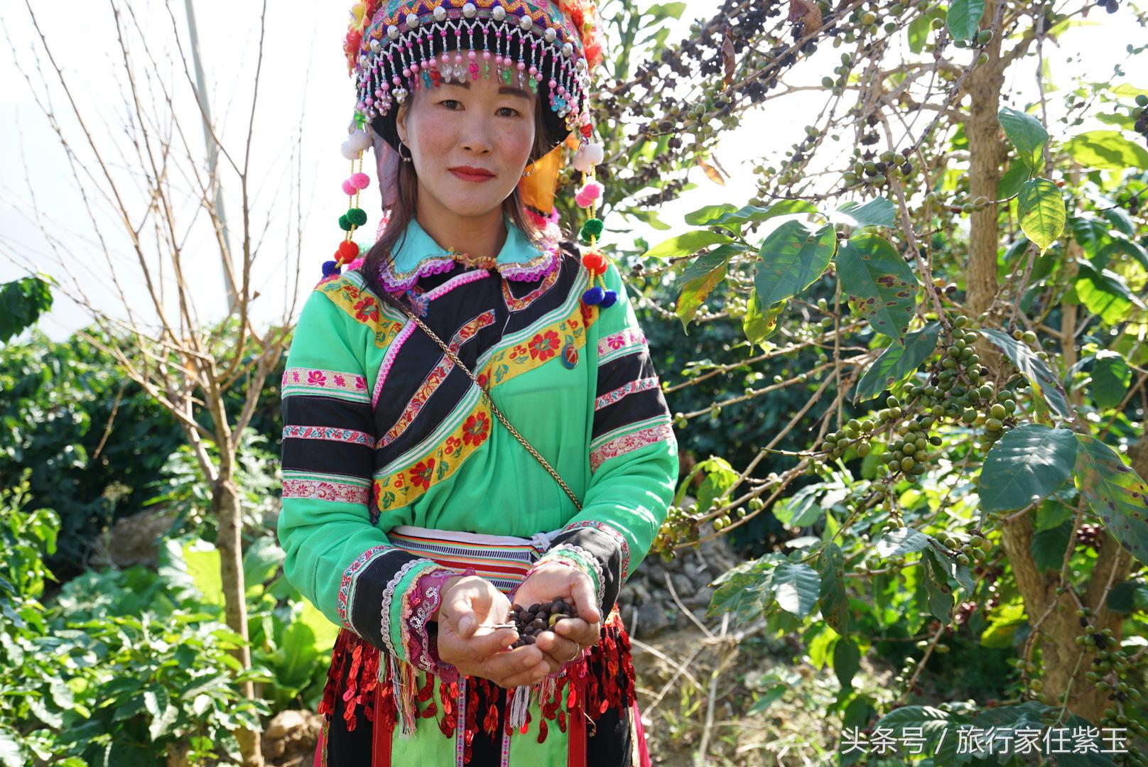 猫屎咖啡和普通咖啡有什么区别呢,猫屎咖啡和云南小粒咖啡哪个好