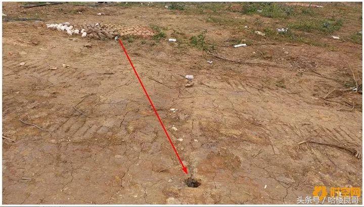 一拍即合！大唐、阳光城、天誉联合16.4亿拍下良庆大道206亩地