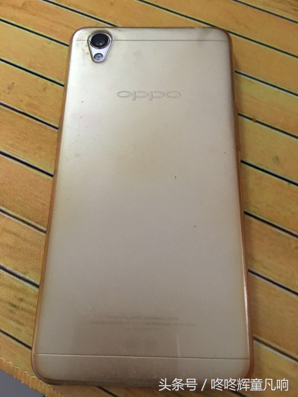 淇￠槼甯備腑淇′笂鍩庡搧,鍏冩棪鐗╀笟绁濈涓氫富