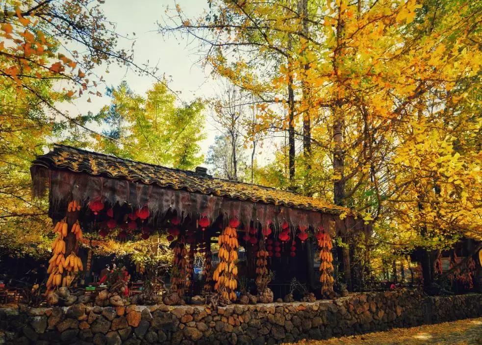 收藏一些自己喜欢的东西,收藏起来你一定用得到