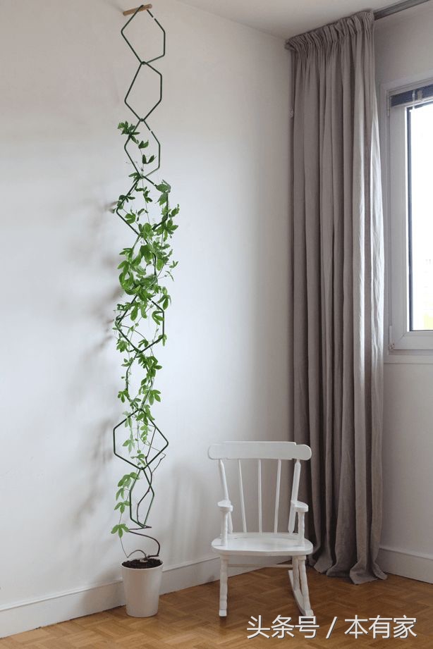 居家必备小妙招学会家里焕然一新,最省钱最实用的家居小妙招