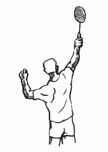 羽毛球课堂：世上最全羽毛球运动教程！