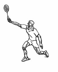 羽毛球基本功很重要羽毛球教学,羽毛球基础超详细教学