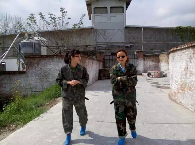 day4-5训练,day4教程全集