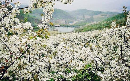 快看！苏州要在全球出名了！竟然与纽约、伦敦、东京、巴黎同上一个榜单...