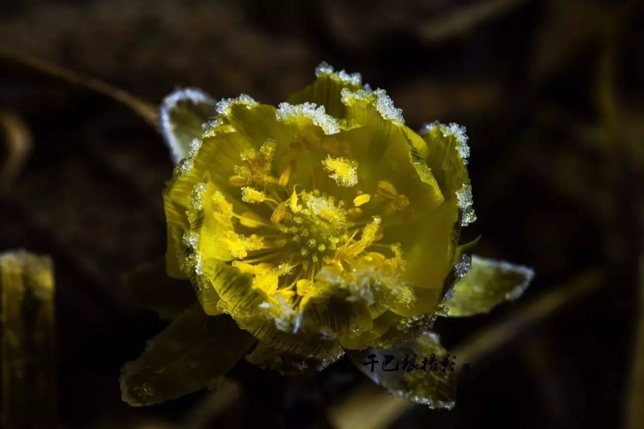 拍摄作品如何投稿人像摄影,摄影作品编辑技巧有哪些