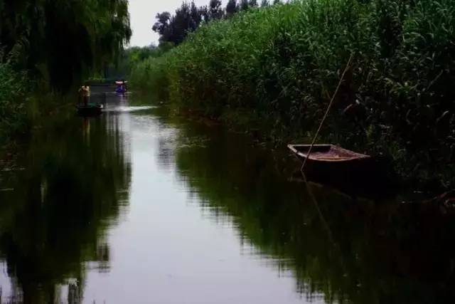 不该被忽略的风景,不该忽视的风景