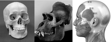 关于产品逻辑的方法,对未来产品的讨论