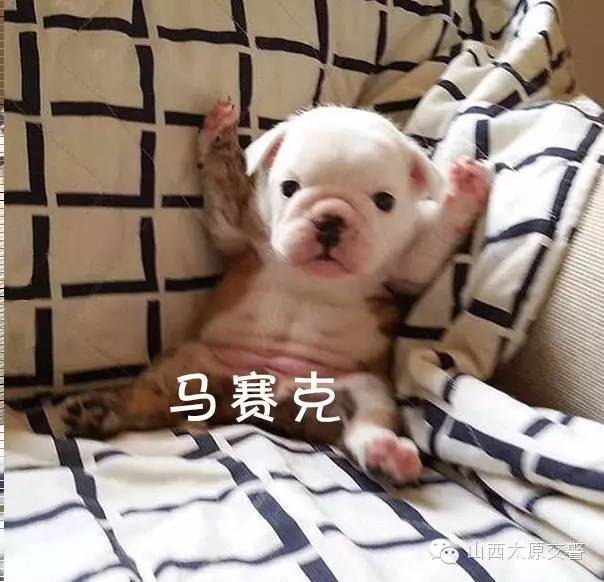 闯红灯扣6分可以在12123里扣分吗,我闯红灯扣六分罚款200元合理吗