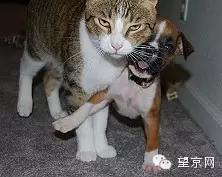 如果有人说“望京什么破地儿?”就把这条微信甩给他