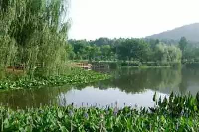 “五一武汉撒野地图”出炉！烧烤露营、游山玩水，一个都不能少！