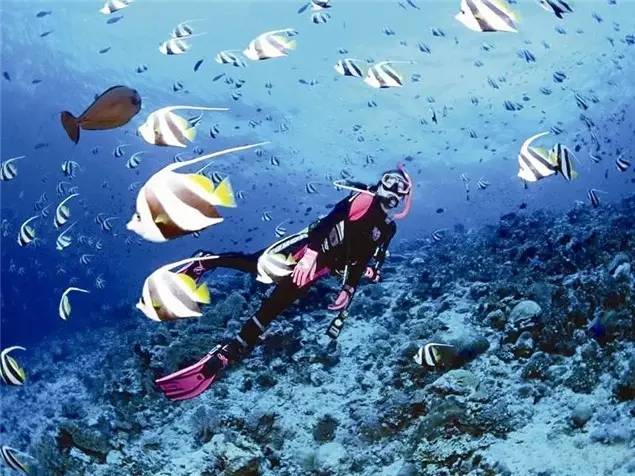 佛山附近比较坑的旅游小岛,佛山周边海岛游推荐小众