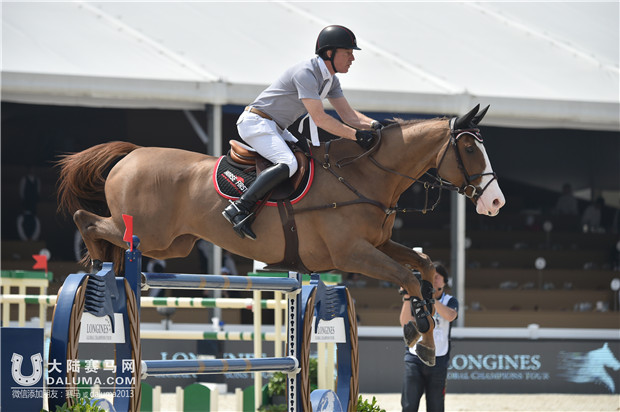 2017年环球马术赛看点,上海马术冠军赛