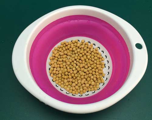 养生系列的豆浆机,健康好豆浆机