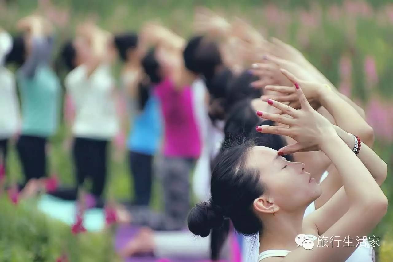 花海中最美的瑜伽,花海中的瑜伽动作