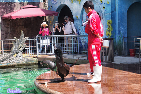 中南百草原景区动物园,中南百草原景区动物
