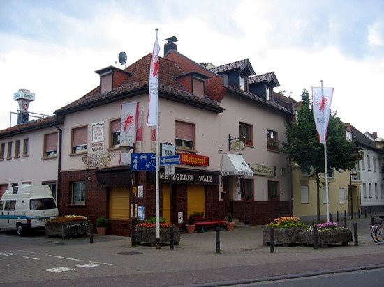 德国队10周年,德国世界杯10年