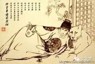 大明宫疯狂动物城,大明王朝疯狂动物城