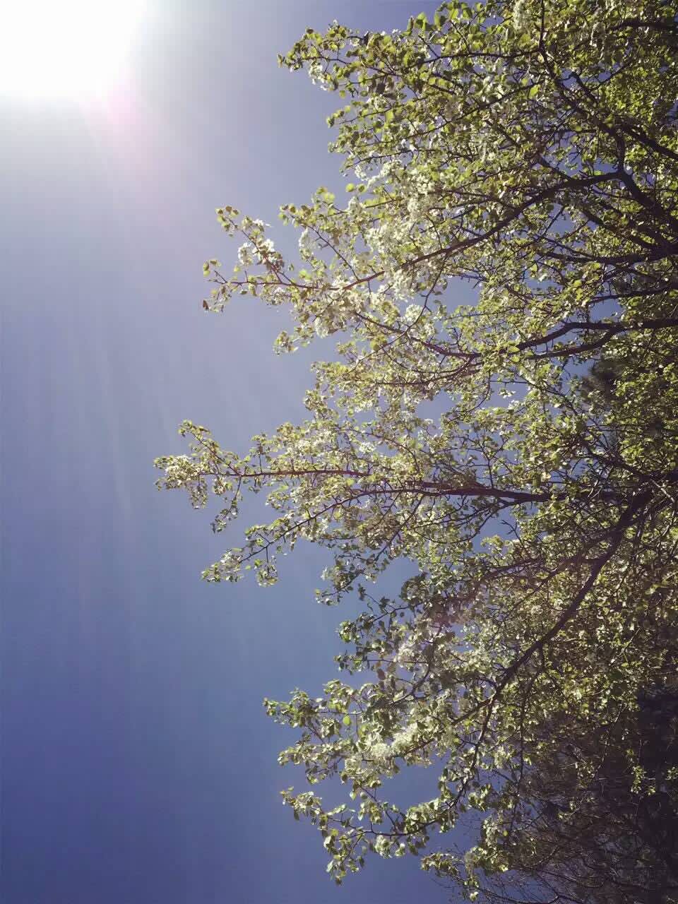 平谷国际徒步大道开放吗,平谷徒步大道自驾游路线图