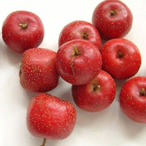 孕妇产后吃什么水果,孕妇产后吃什么水果好