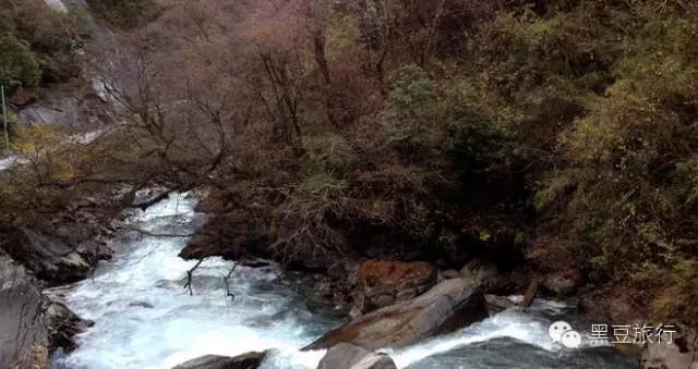 今年五一不出门宅在家里,五一不宅家悦游好时节