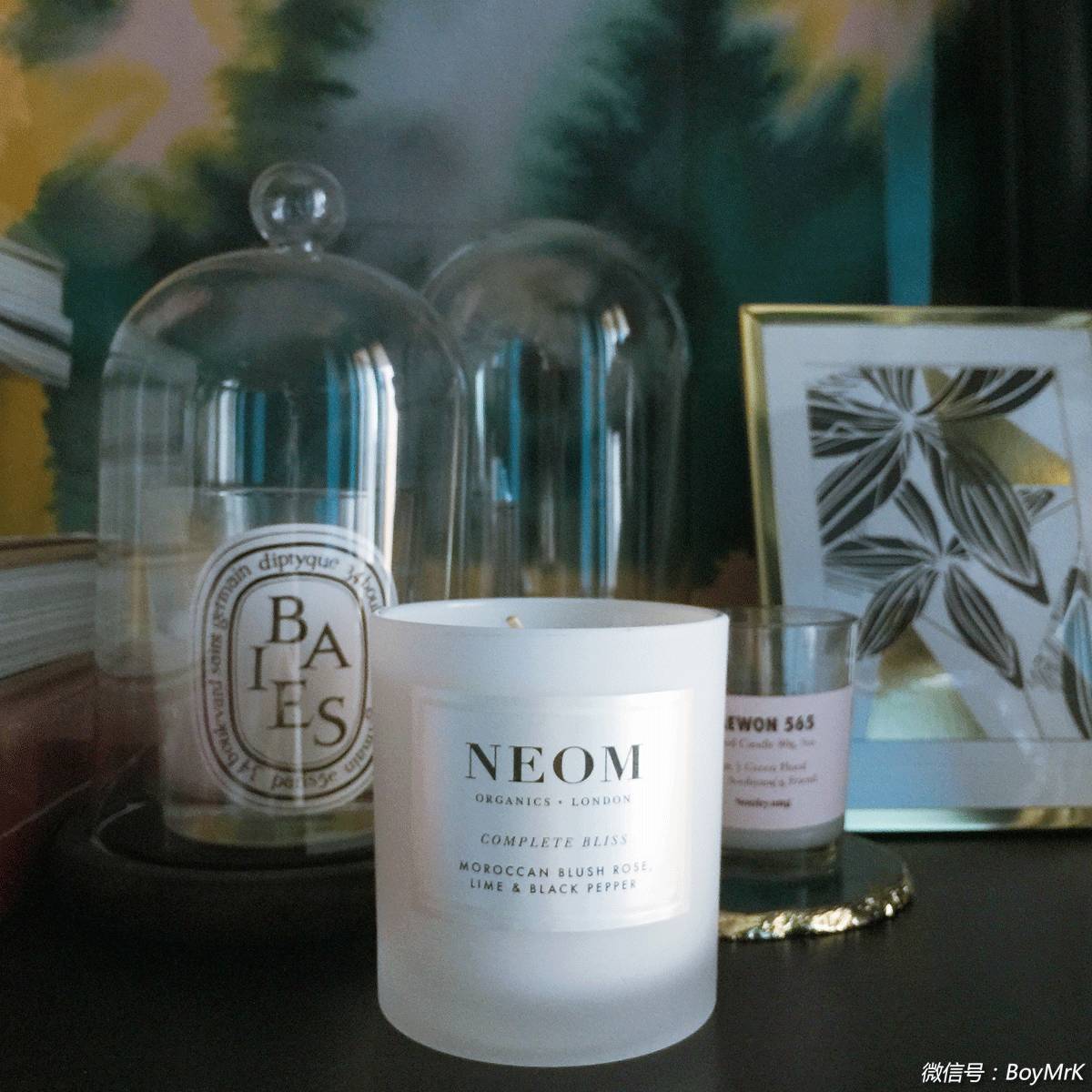 渚垮疁鍙堝ソ鐢ㄧ殑绉嶈崏娓呭崟,绉嶈崏绀肩墿娓呭崟