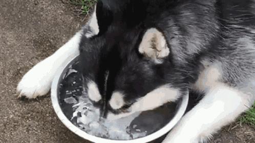 焦作今天的天气情况怎么样,焦作7月1日天气情况表