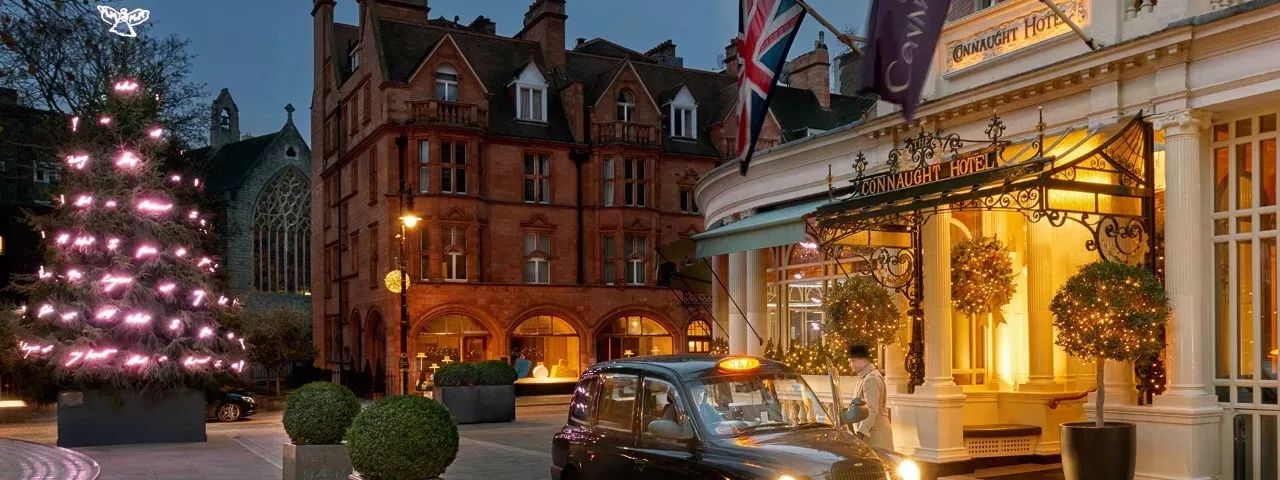 纽约大都会博物馆圣诞树,世界上最大的圣诞树是什么样子