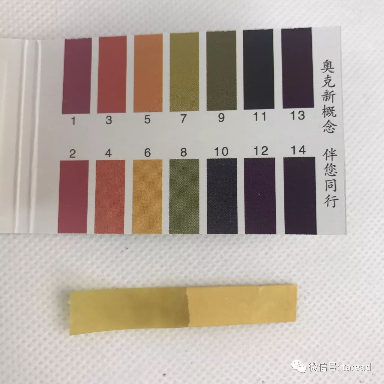 aminoacid氨基酸洁面乳国货,国货平价油皮洗面奶测评