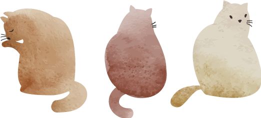 跨年礼物准备什么好,跨年给男生送礼物推荐