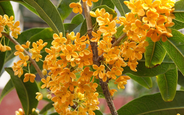 月经病调理经验,紧张害怕焦虑恐惧中医怎么调理