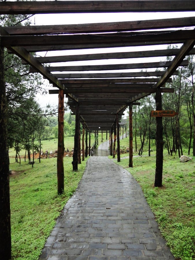 五一好去处~除了竹海善卷洞，宜兴的这些地方也很美~