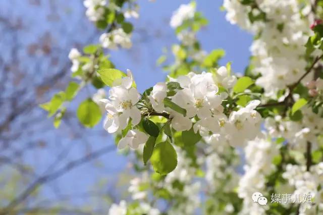 包钢三中真的要改名吗,包钢三中整体成绩怎么样