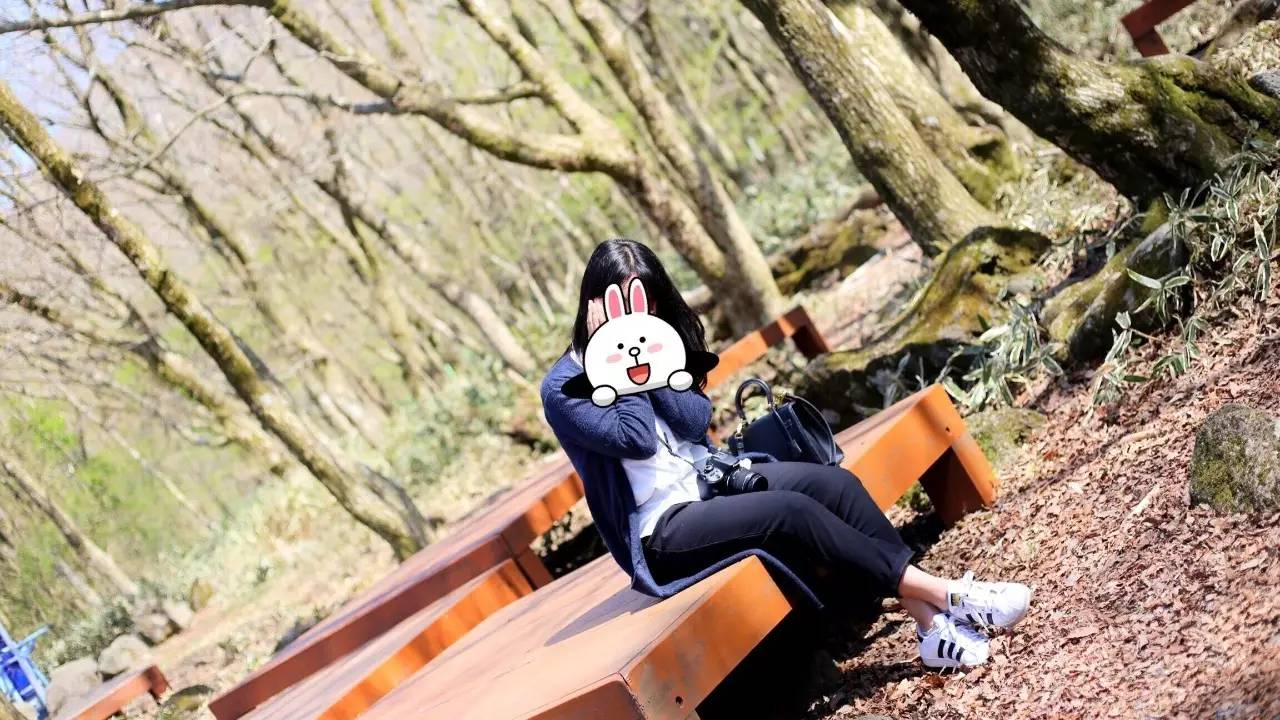 全过程记录,揭秘廉价济州岛跟团游背后的真相