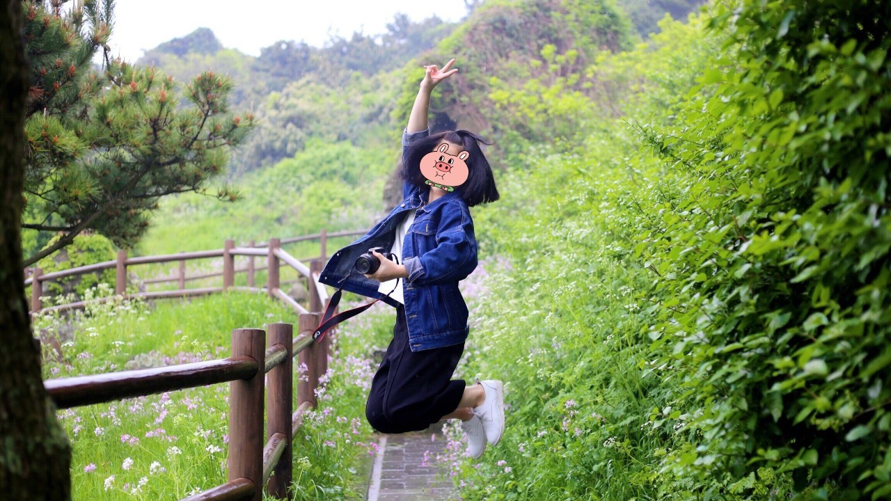 全过程记录,揭秘廉价济州岛跟团游背后的真相