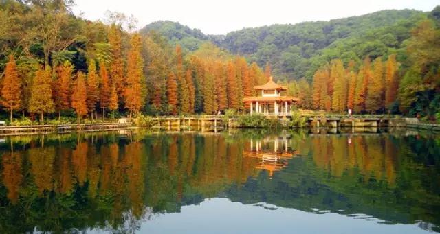 深圳有没有好看的风景湖,深圳美湖