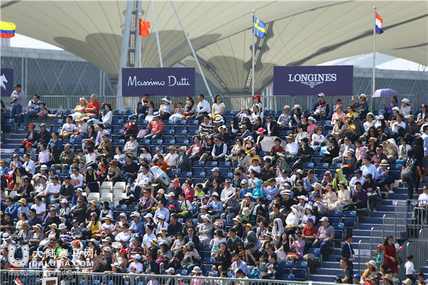 2017年环球马术赛看点,上海马术冠军赛