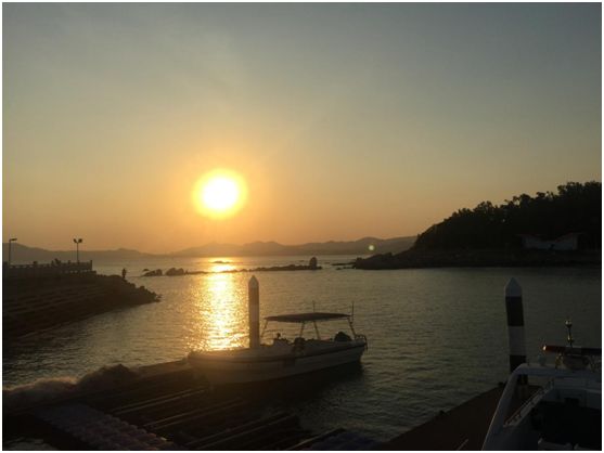 “能源*界无**，知行无间”——能源商学院深圳行带你看科技与能源的跨界融合