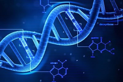 早安山东天气预报强降雨,三预警齐发山东将迎大风大雾降温