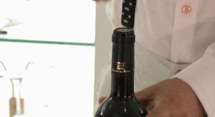 这个开瓶器太有创意了,红酒开瓶器醒酒专用神器最新款