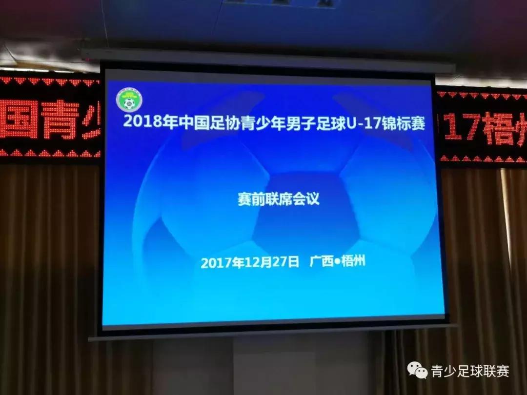 全国青少年足球锦标赛u17回放,第二届全国u17男子足球比赛