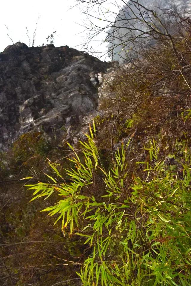 彭水摩围山旅游攻略,彭水摩围山风景区演出活动