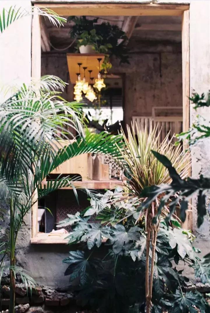 颜值爆表的几处玻璃花房,承载了姑娘们所有的“花房梦”!