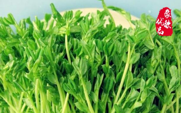 蔬食主义健康生活方式新选择,轻食主义健康饮食成年轻人新追求