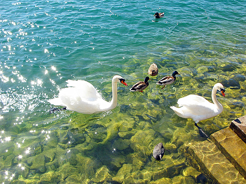 瑞士十大景点介绍,瑞士必去的10个景点