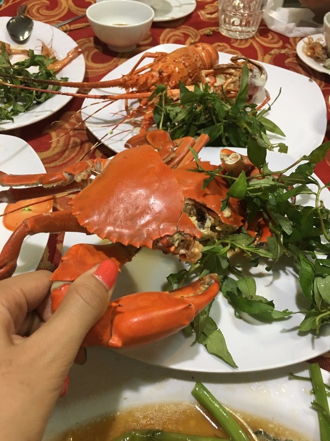 一个人越南攻略,一个人越南自驾游纪录片