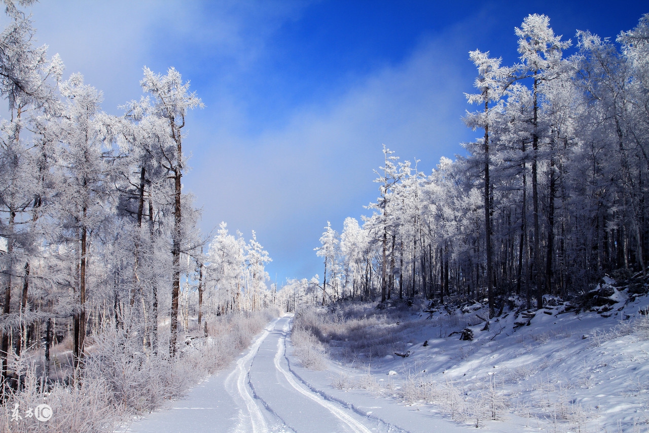漠河寻北之旅邂逅冰雪奇缘,漠河冰雪深度游