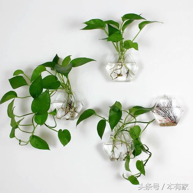 居家必备小妙招学会家里焕然一新,最省钱最实用的家居小妙招