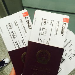 全部的飞机票,飞机票应该是什么样的